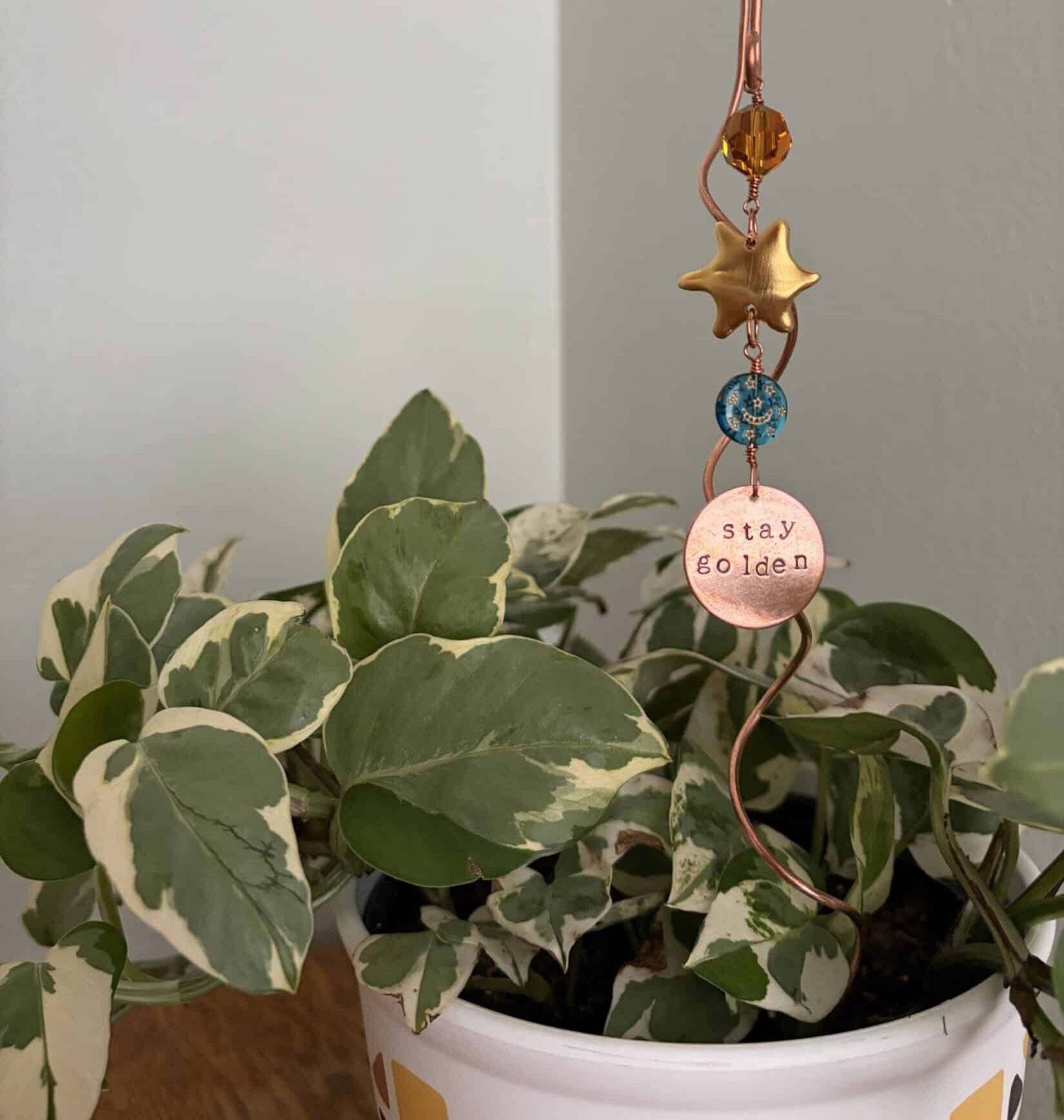 Garden Notes